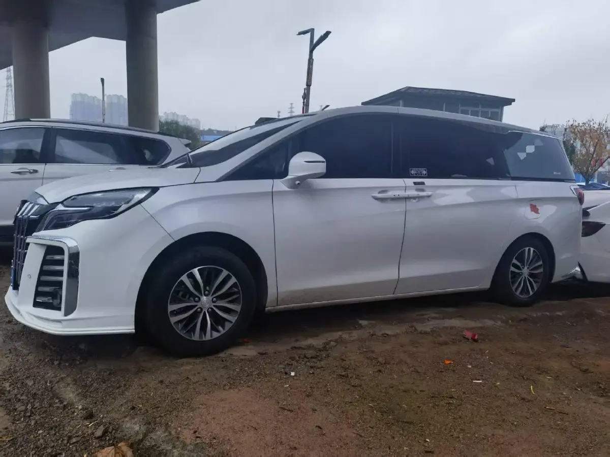 2021 Buick GL8 2.0T 237HP L4 9AT