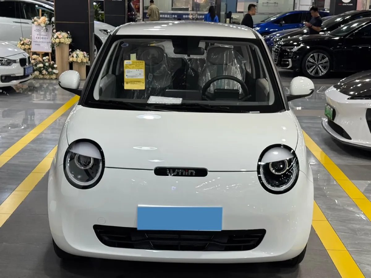 2025 ChangAn QiYuan Lumin BEV,autocango,china used car exporter,china ev exporter,chinese used car exporter,chinese used ev exporter