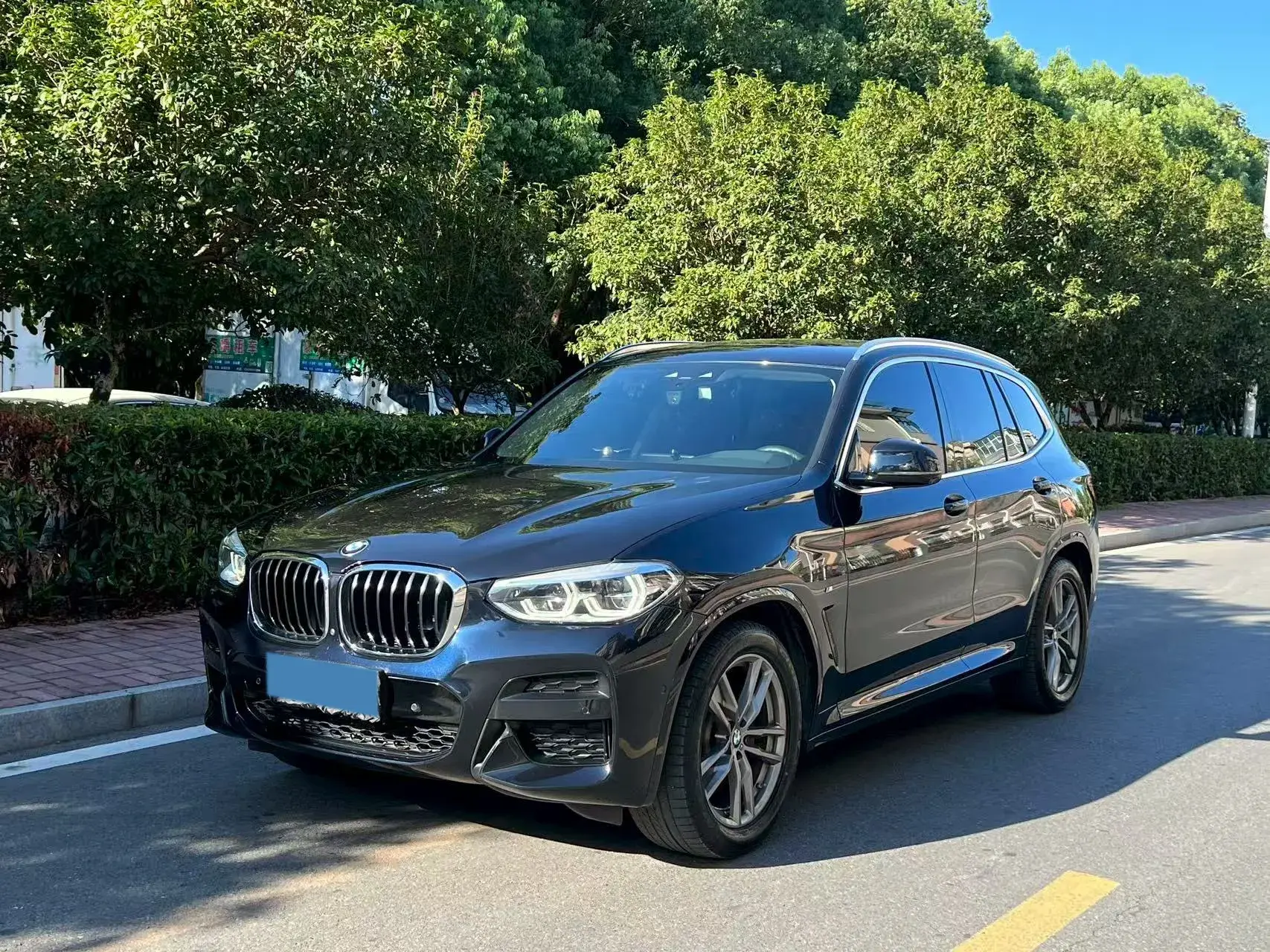 2021 BMW X3 view 1