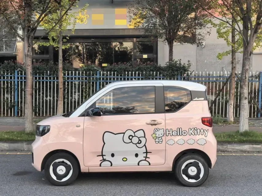 2021 WuLing HongGuang MINI EV BEV 13.9KWH,autocango,china used car exporter,china ev exporter,chinese used car exporter,chinese used ev exporter