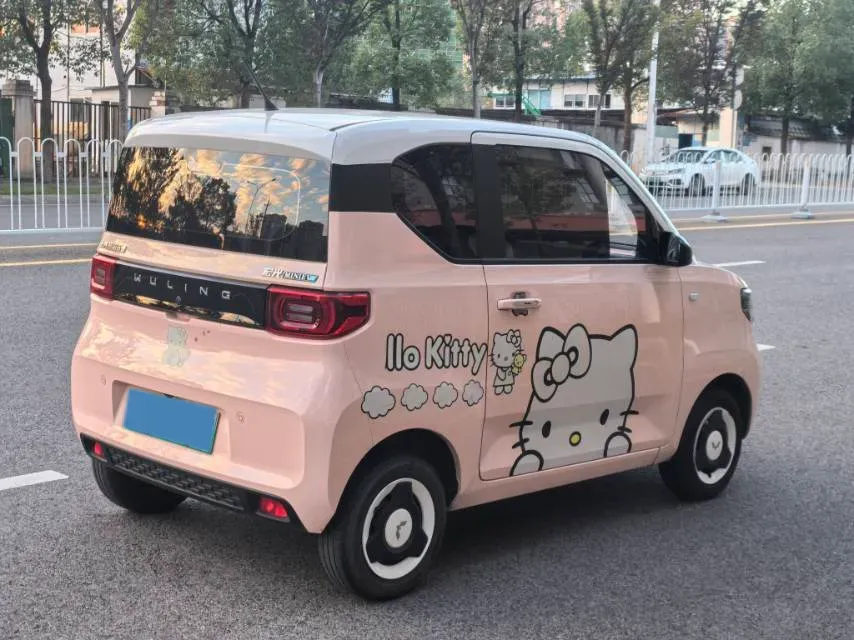 2021 WuLing HongGuang MINI EV BEV 13.9KWH,autocango,china used car exporter,china ev exporter,chinese used car exporter,chinese used ev exporter