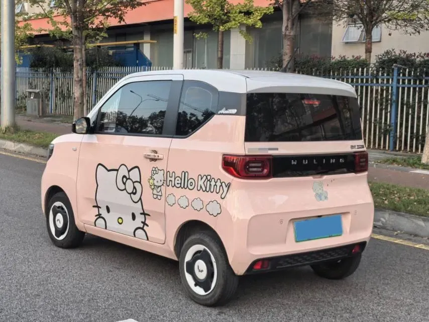 2021 WuLing HongGuang MINI EV BEV 13.9KWH,autocango,china used car exporter,china ev exporter,chinese used car exporter,chinese used ev exporter
