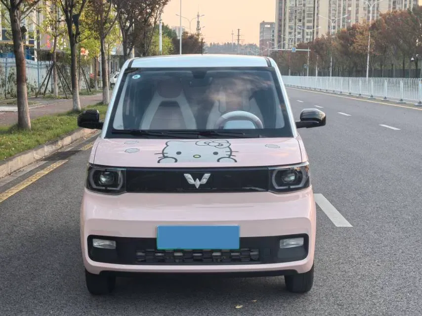2021 WuLing HongGuang MINI EV BEV 13.9KWH,autocango,china used car exporter,china ev exporter,chinese used car exporter,chinese used ev exporter