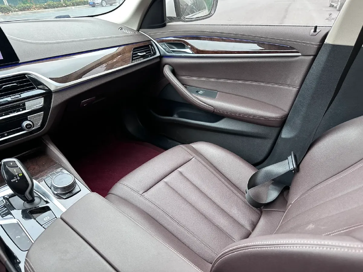 2020 BMW 5 Series 2.0T 184HP L4 8AT,autocango,china used car exporter,china ev exporter,chinese used car exporter,chinese used ev exporter