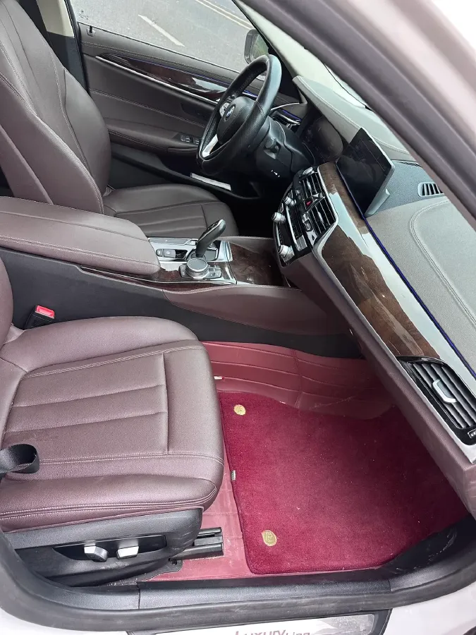 2020 BMW 5 Series 2.0T 184HP L4 8AT,autocango,china used car exporter,china ev exporter,chinese used car exporter,chinese used ev exporter