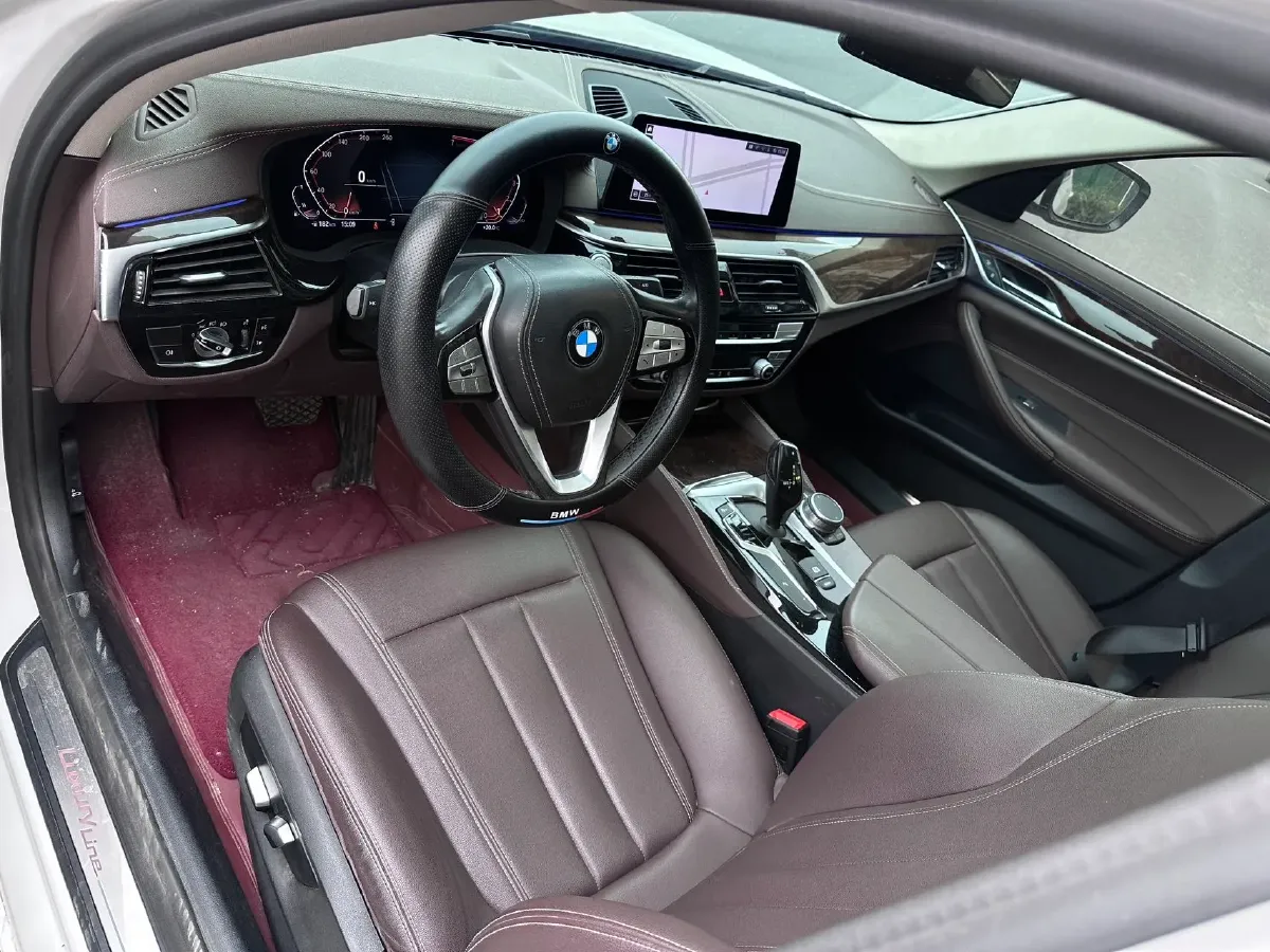 2020 BMW 5 Series 2.0T 184HP L4 8AT,autocango,china used car exporter,china ev exporter,chinese used car exporter,chinese used ev exporter
