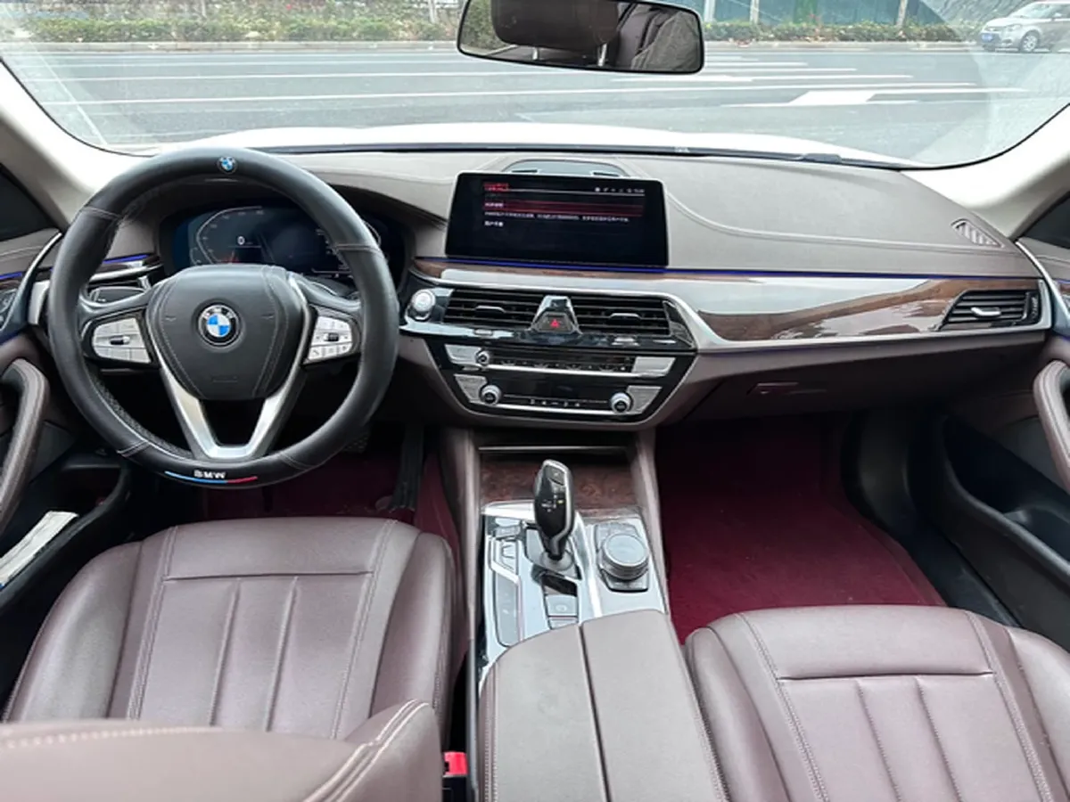 2020 BMW 5 Series 2.0T 184HP L4 8AT,autocango,china used car exporter,china ev exporter,chinese used car exporter,chinese used ev exporter