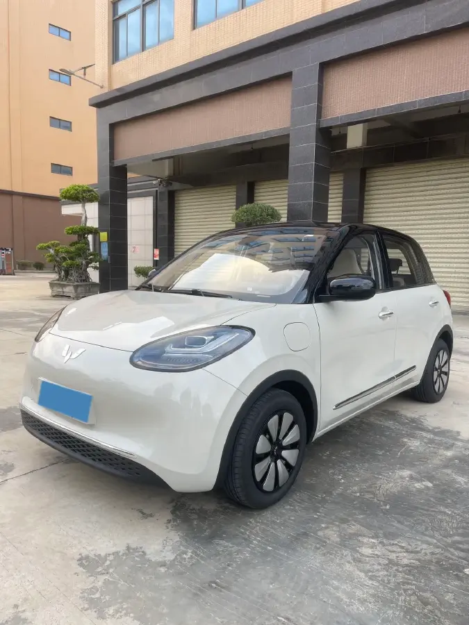 2025 WuLing BinGuo BEV
