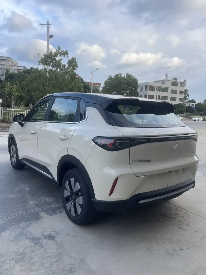 2025 WuLing BinGuo S BEV,autocango,china used car exporter,china ev exporter,chinese used car exporter,chinese used ev exporter