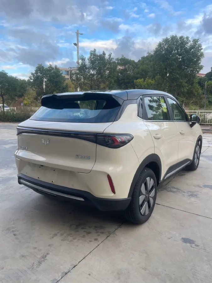 2025 WuLing BinGuo S BEV,autocango,china used car exporter,china ev exporter,chinese used car exporter,chinese used ev exporter