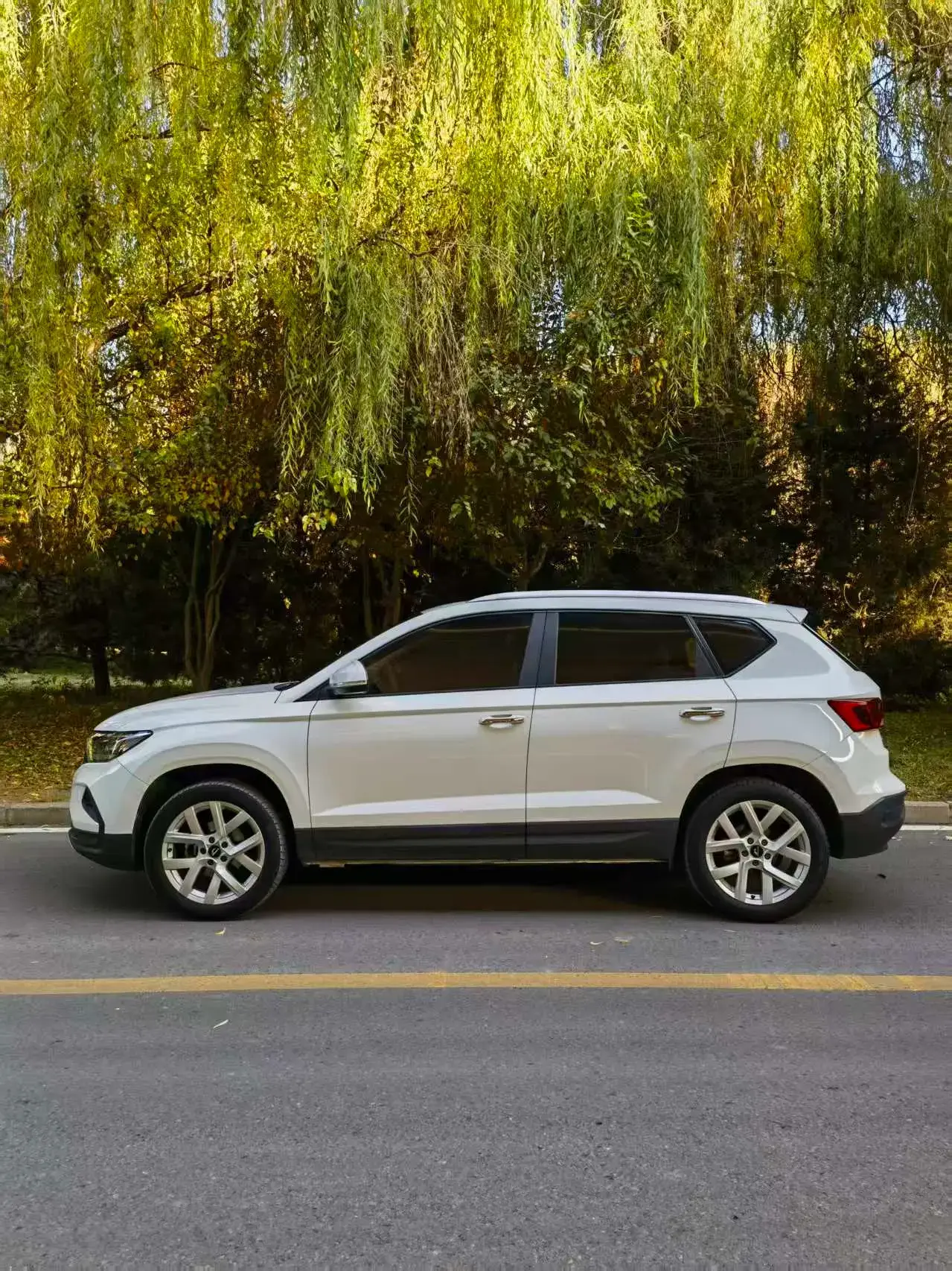 2019 JETTA VS5 thumbnail 3