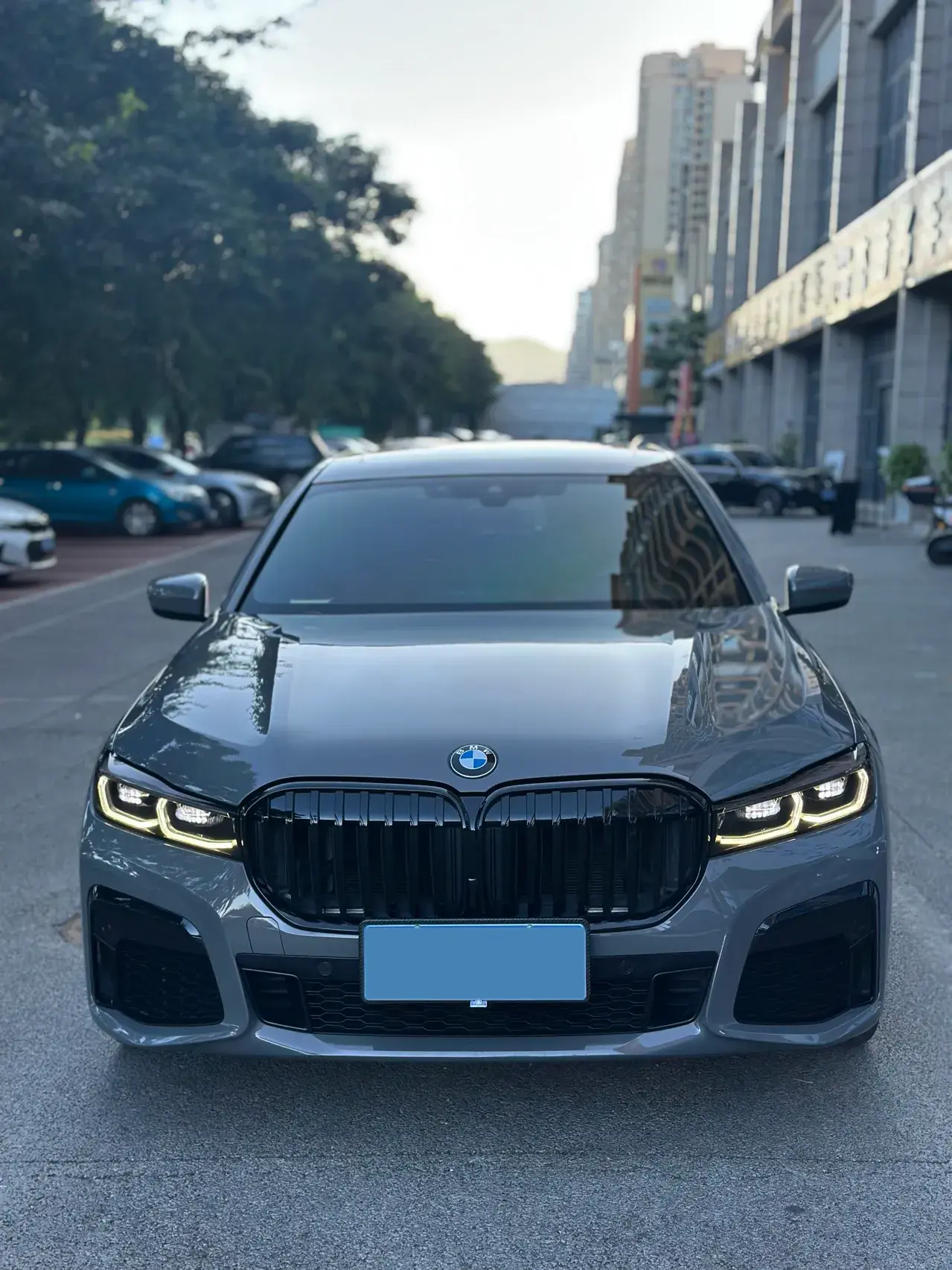 2019 BMW 7 thumbnail 2
