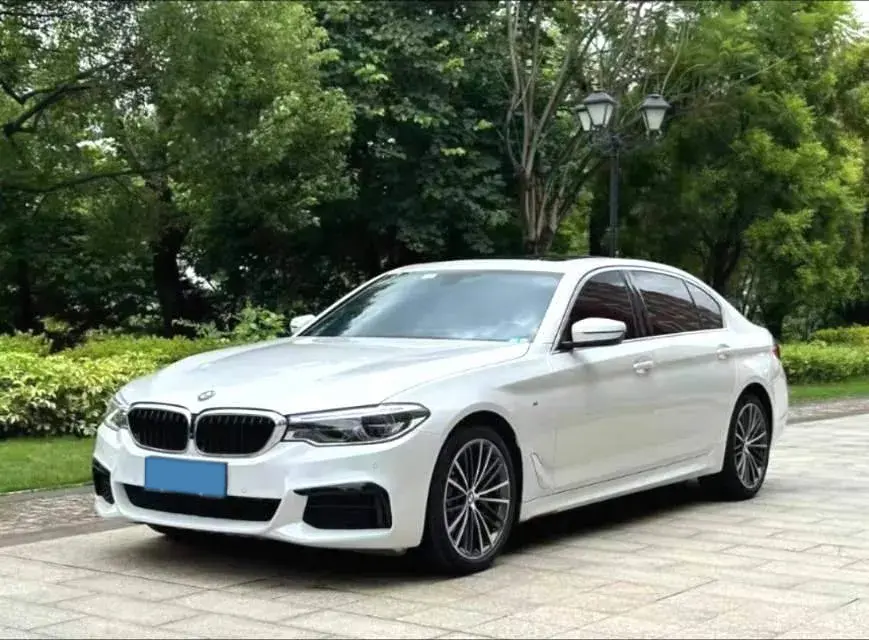 2020 BMW 5 Series 2.0T 252HP L4 8AT