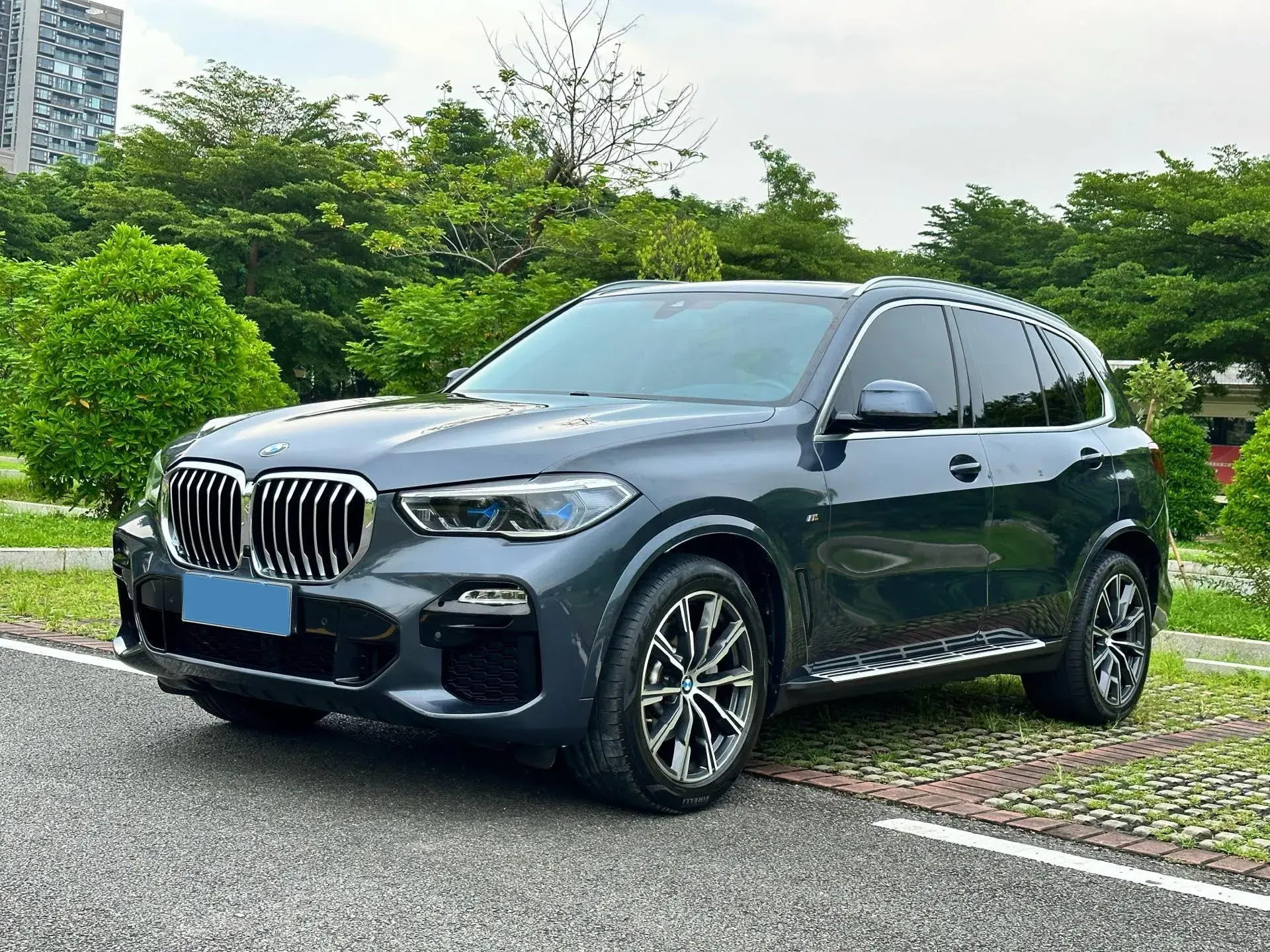 2021 BMW X5 view 1