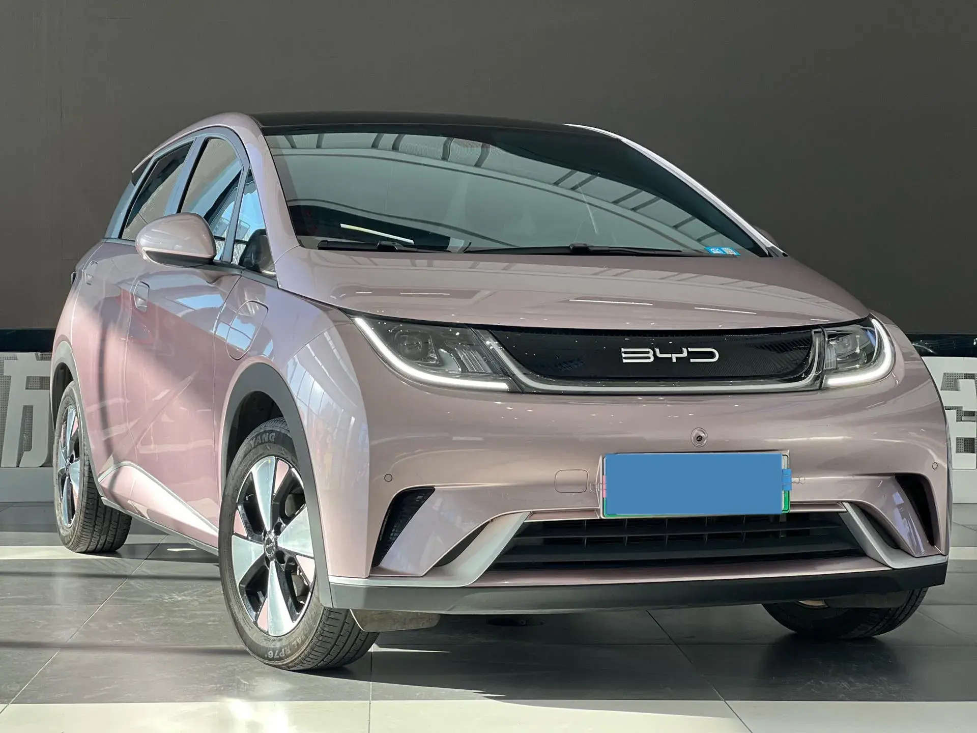 2023 BYD DOLPHIN thumbnail 3