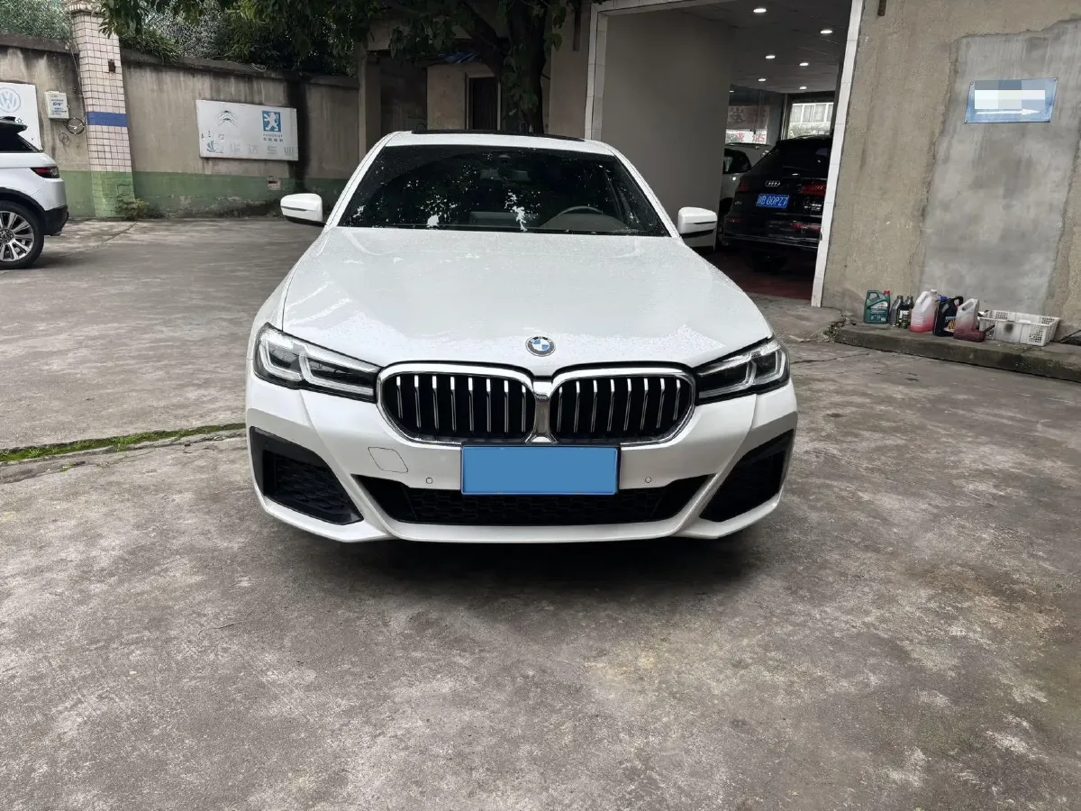 2021 BMW 5 Series 2.0T 252HP L4 8AT,autocango,china used car exporter,china ev exporter,chinese used car exporter,chinese used ev exporter