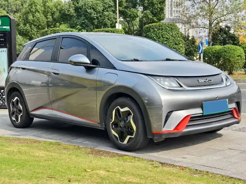 2021 BYD DOLPHIN thumbnail 3