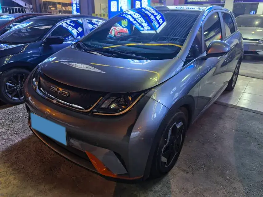 2021 BYD Dolphin BEV 44.9KWH 2021 BYD Dolphin BEV 44.9KWH