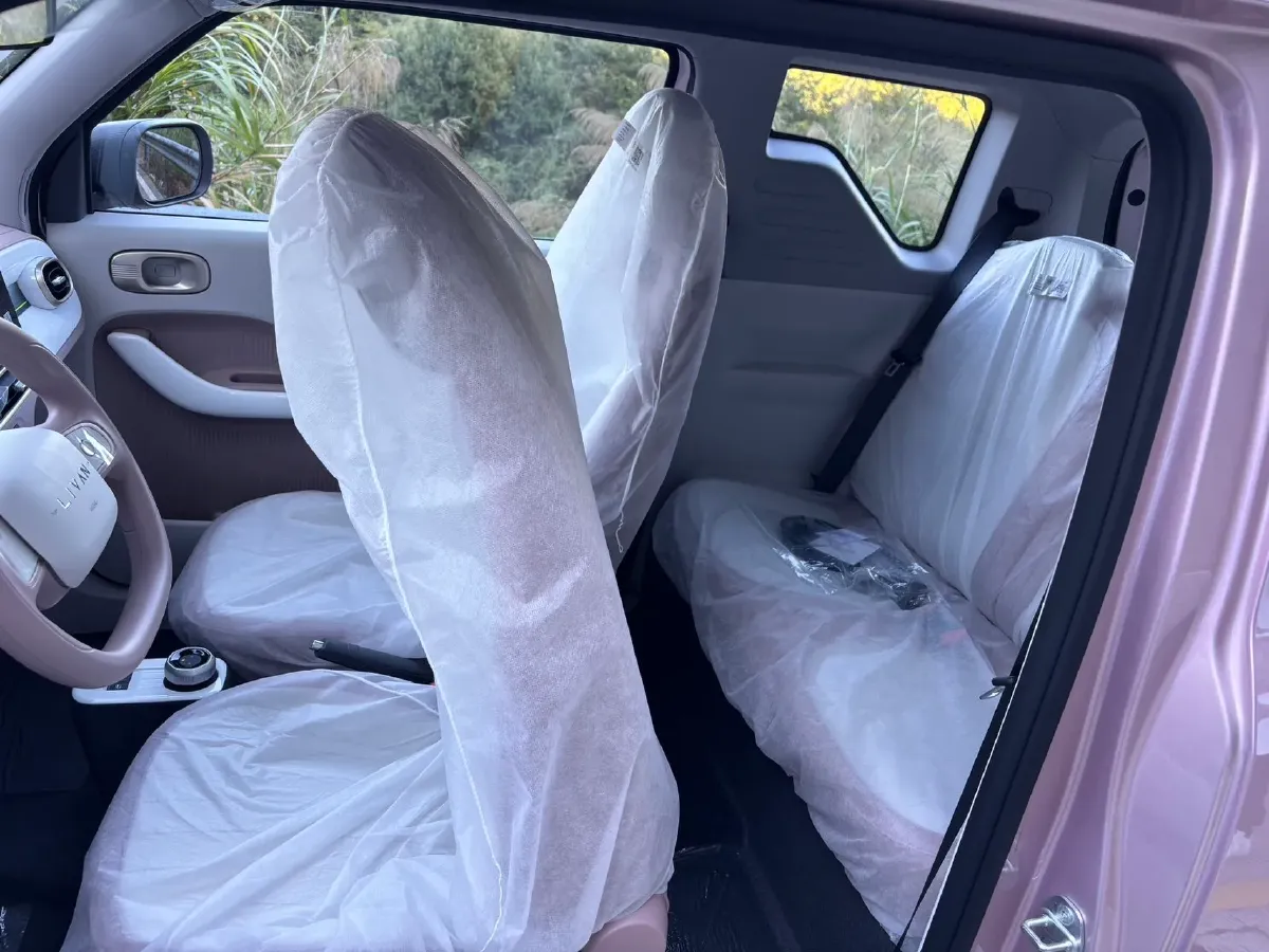 2025 Livan Lanqiqiu BEV,autocango,china used car exporter,china ev exporter,chinese used car exporter,chinese used ev exporter