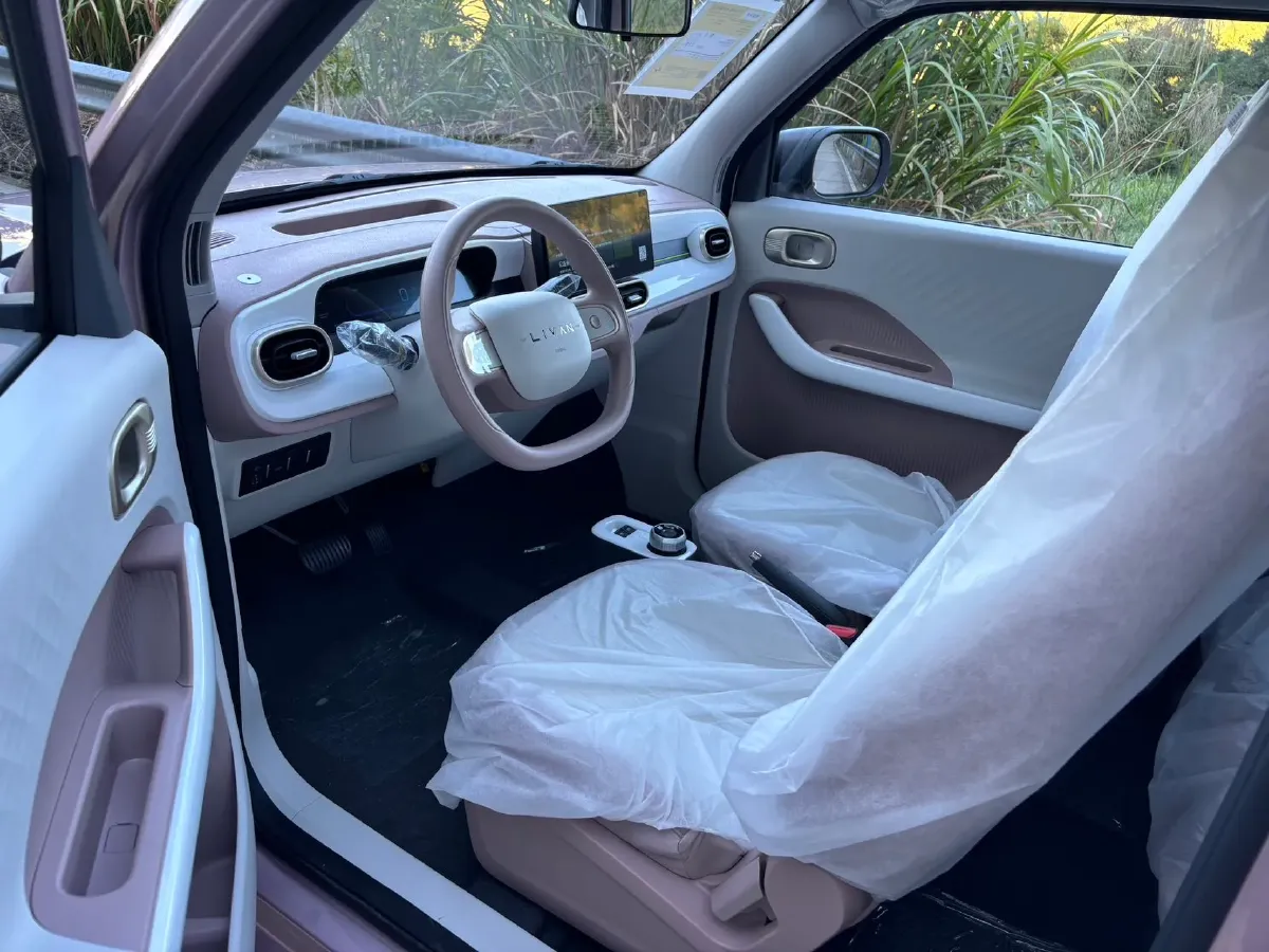 2025 Livan Lanqiqiu BEV,autocango,china used car exporter,china ev exporter,chinese used car exporter,chinese used ev exporter