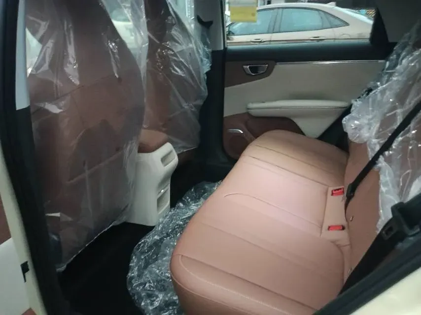 2025 WuLing BinGuo S BEV,autocango,china used car exporter,china ev exporter,chinese used car exporter,chinese used ev exporter