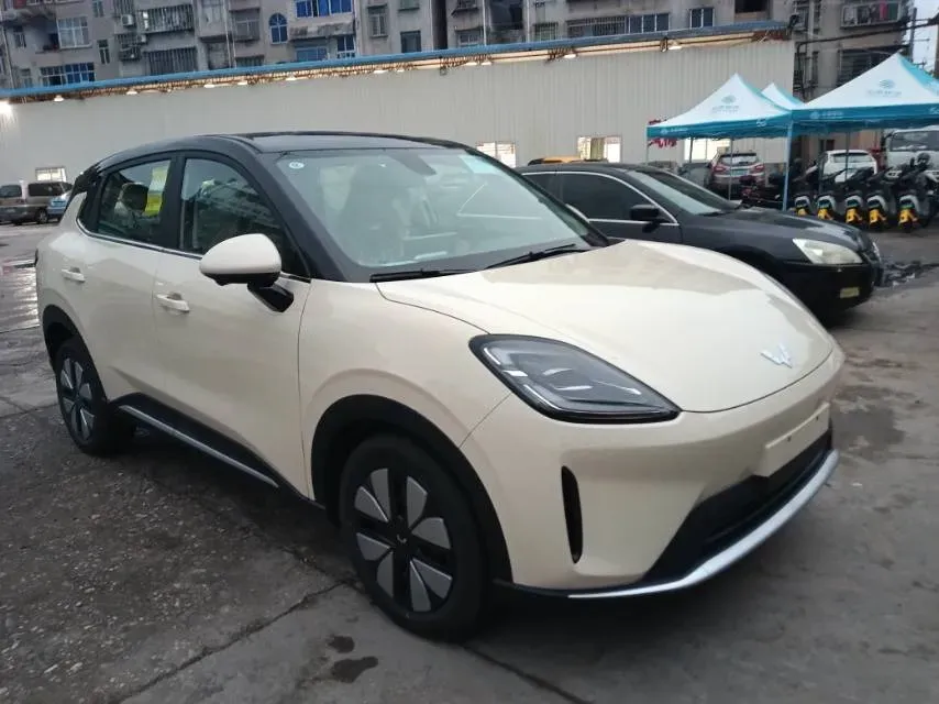 2025 WuLing BinGuo S BEV,autocango,china used car exporter,china ev exporter,chinese used car exporter,chinese used ev exporter