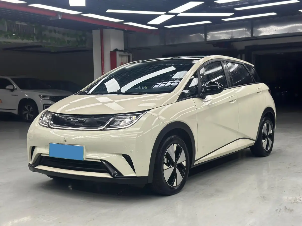2023 BYD Dolphin BEV 44.928KWH