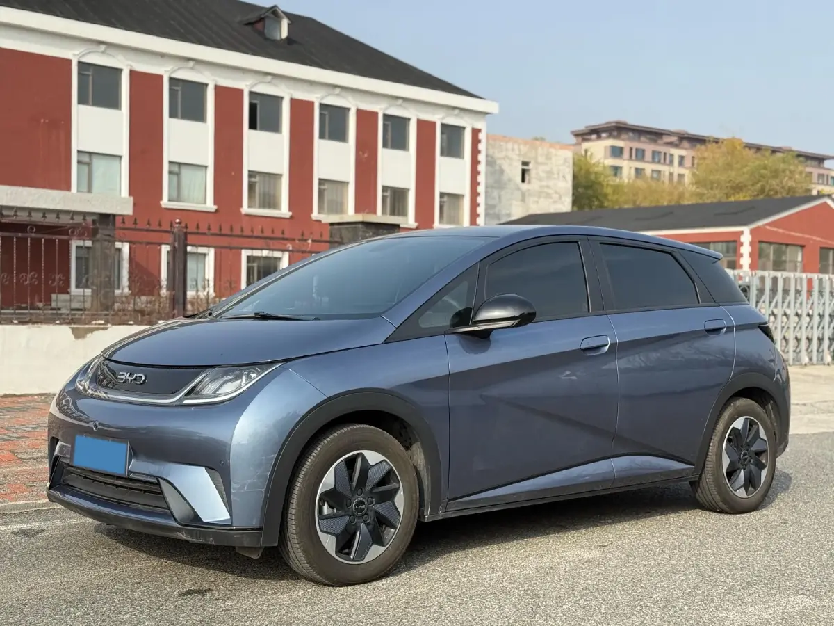 2024 BYD Dolphin BEV 44.928KWH