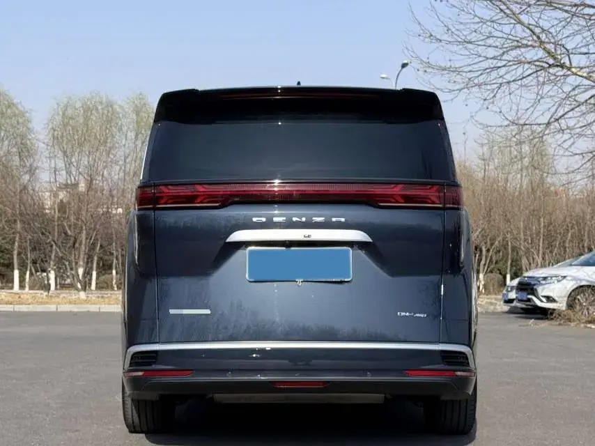 2022 DENZA D9 thumbnail 3