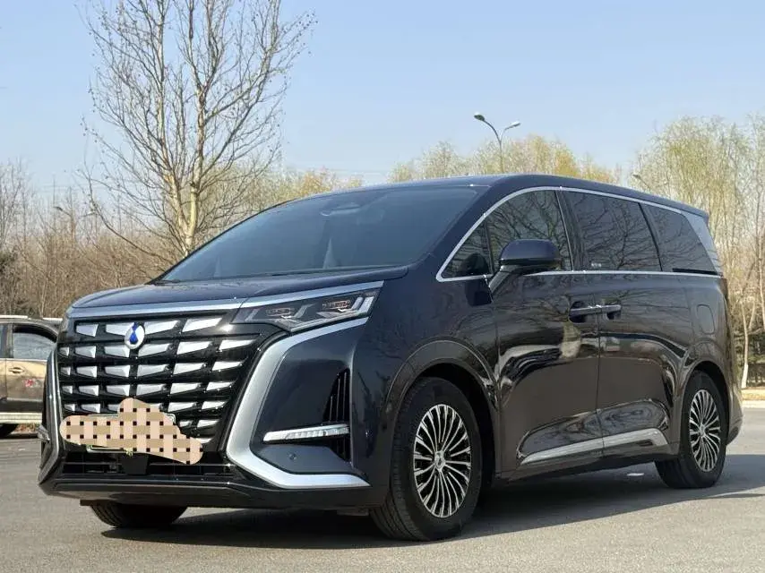 2022 DENZA D9 view 1