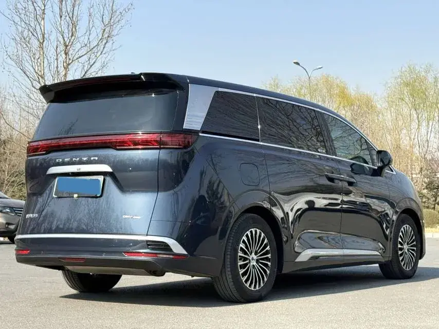 2022 DENZA D9 thumbnail 4