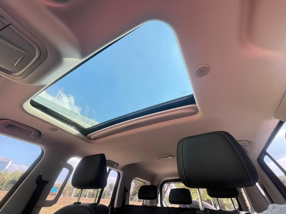 2024 Tank 300 2.0T 252HP L4 9AT,autocango,china used car exporter,china ev exporter,chinese used car exporter,chinese used ev exporter