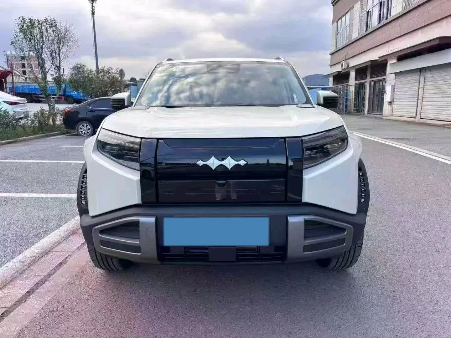 2025 FANGCHENGBAO TAI thumbnail 3