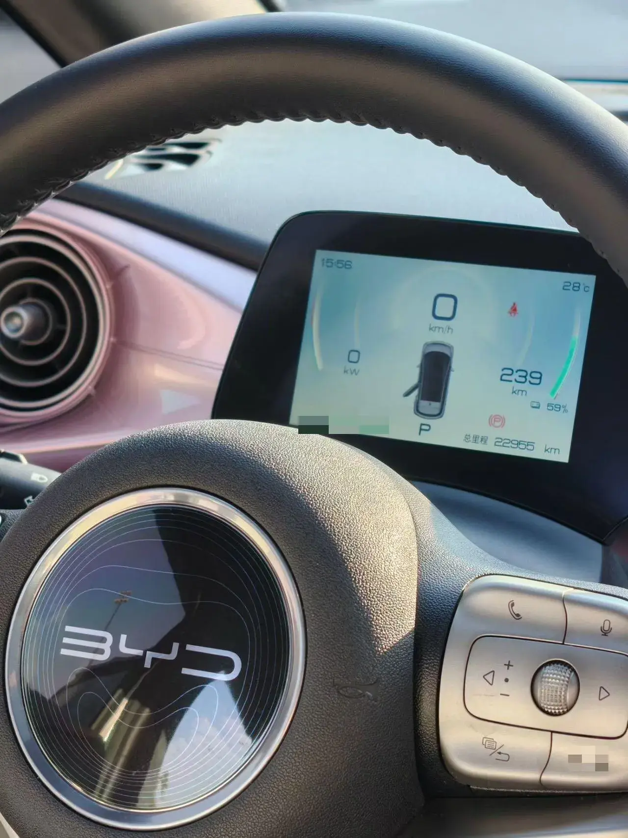 2021 BYD DOLPHIN thumbnail 2