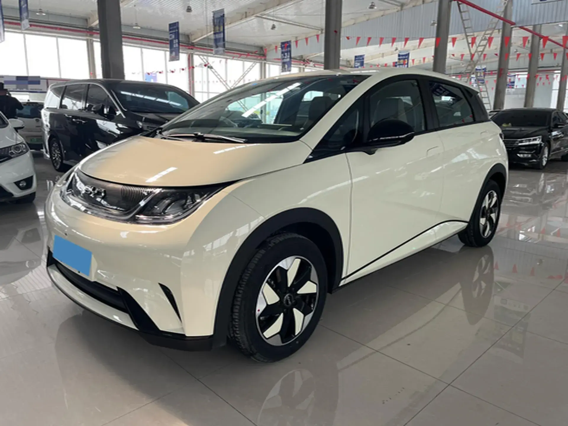 2025 BYD DOLPHIN view 1