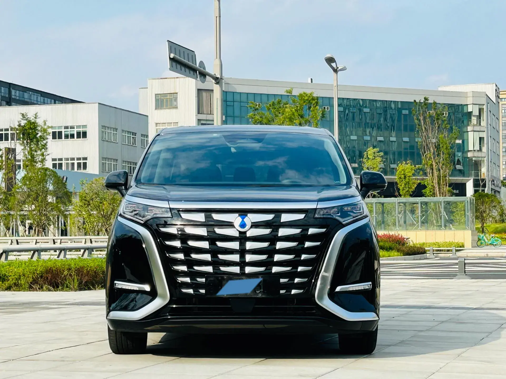 2022 DENZA D9 thumbnail 2