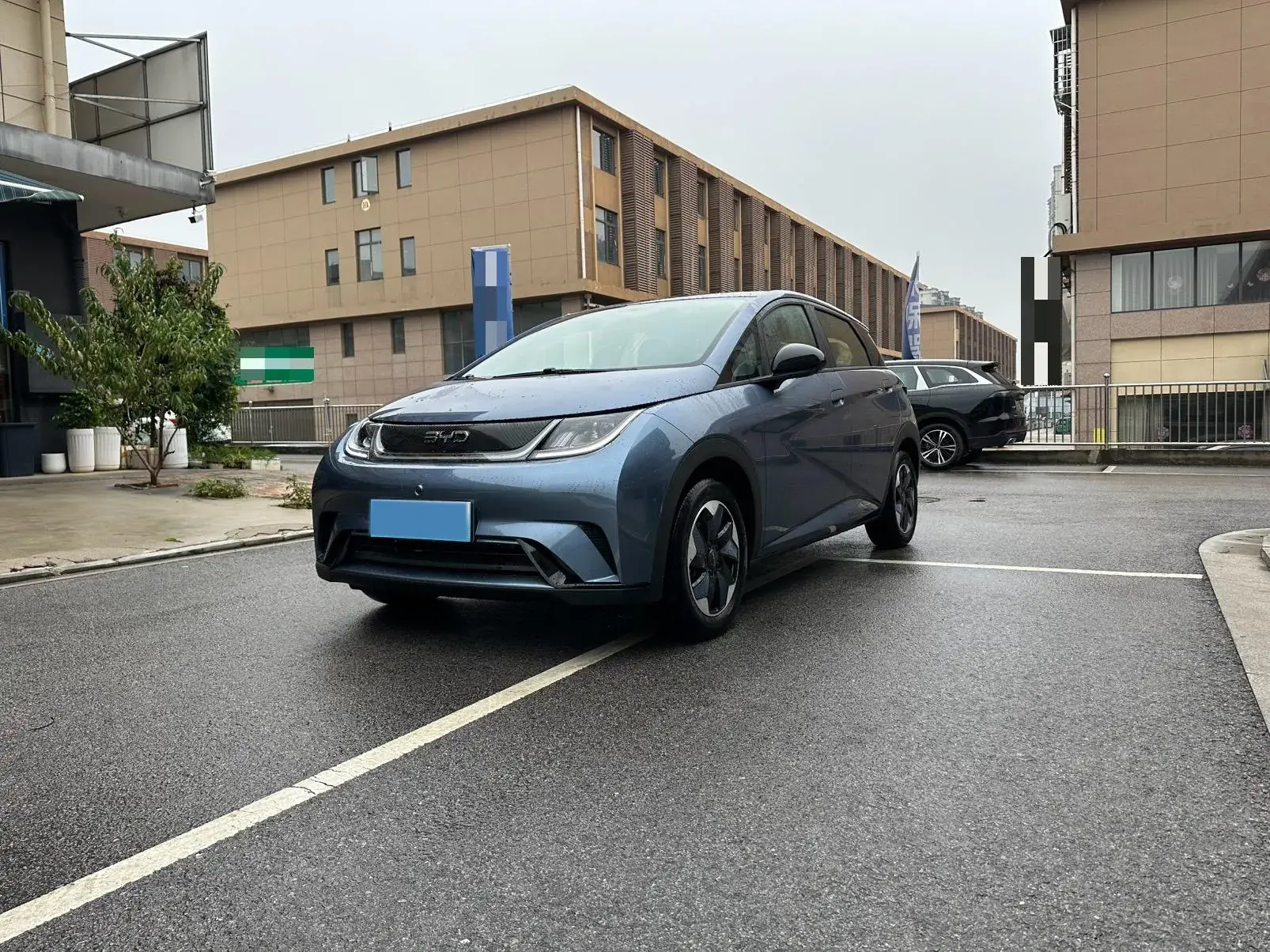 2025 BYD DOLPHIN view 1