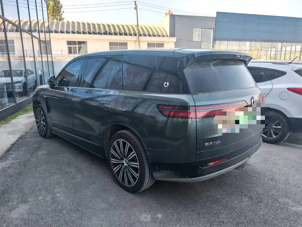 2025 DENZA DENZAN9 thumbnail 3