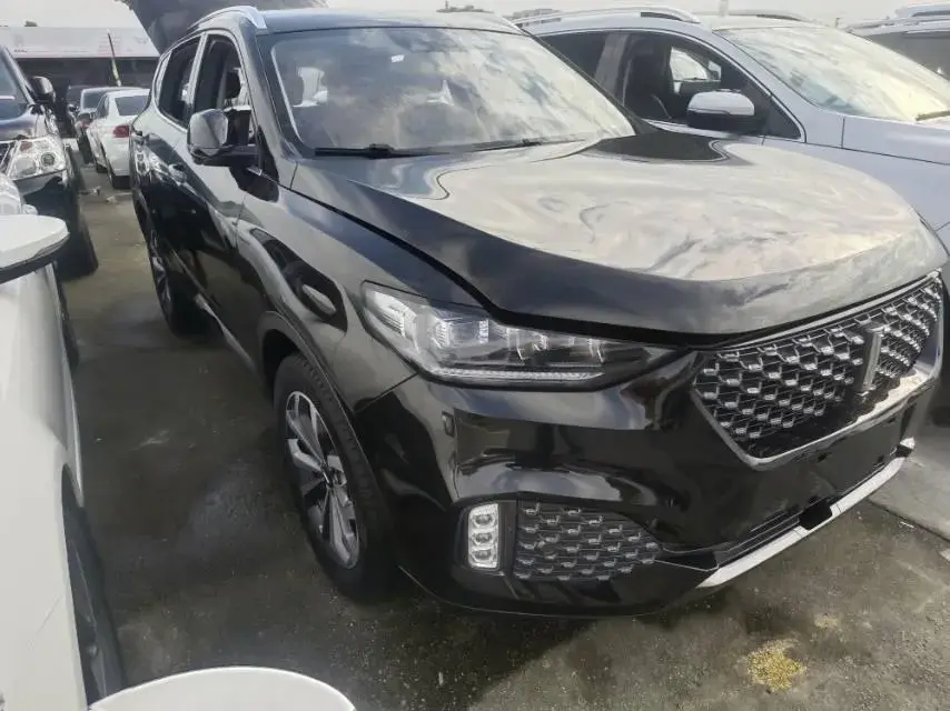 2021 WEY VV6 thumbnail 3