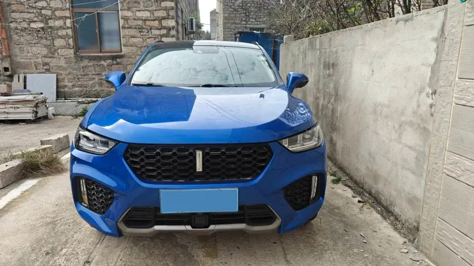 2019 WEY VV5 thumbnail 2