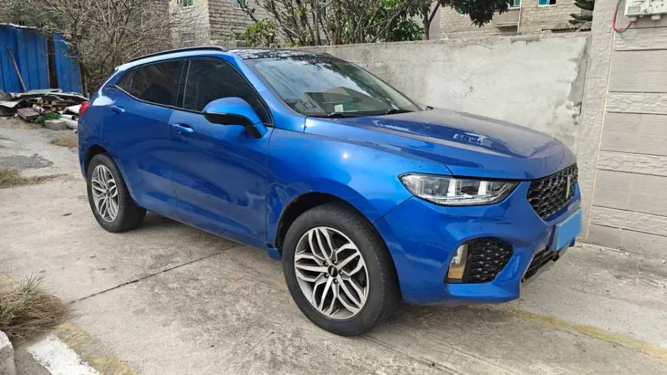 2019 WEY VV5 thumbnail 3