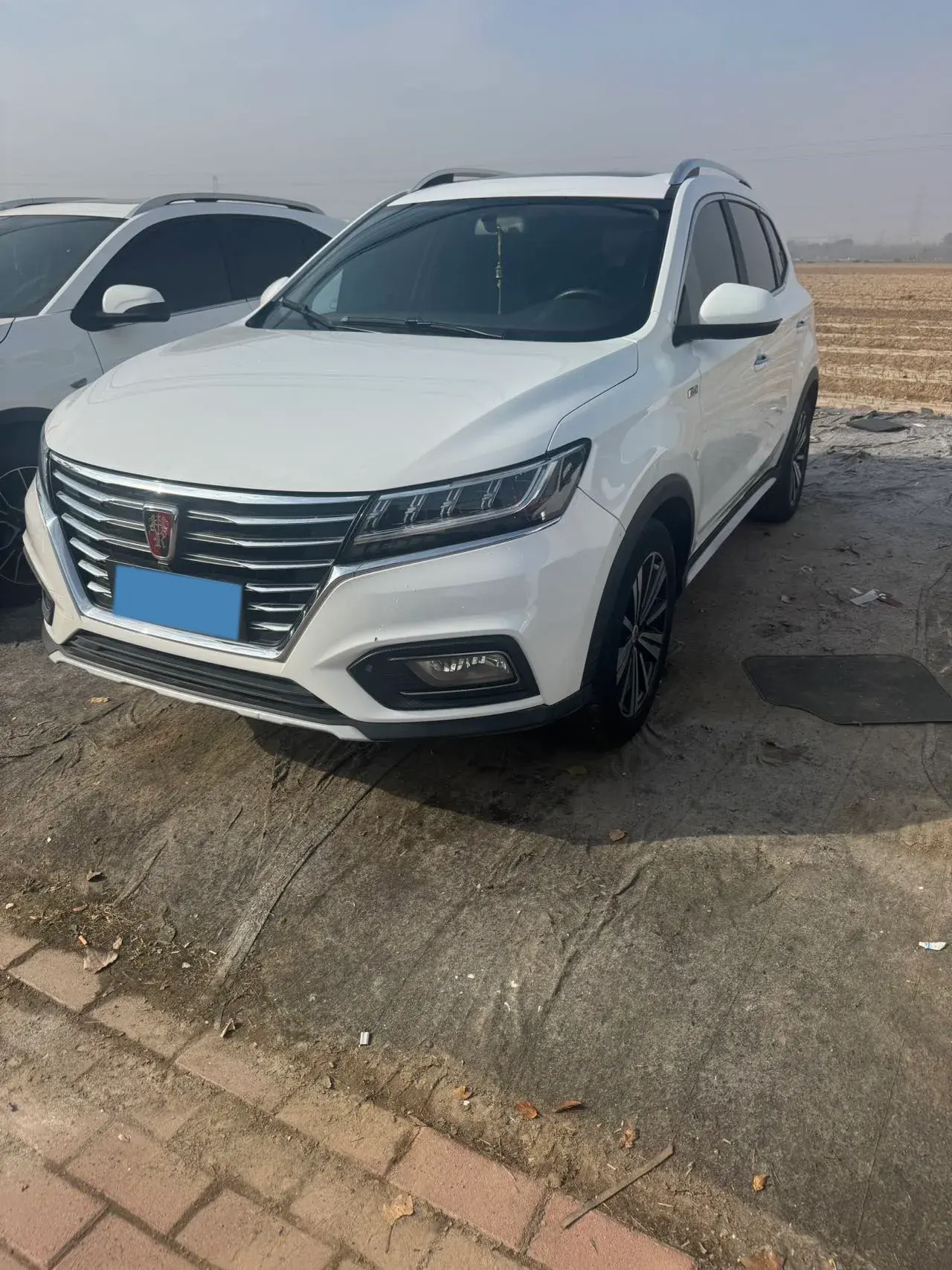 2020 ROEWE RX5 view 1