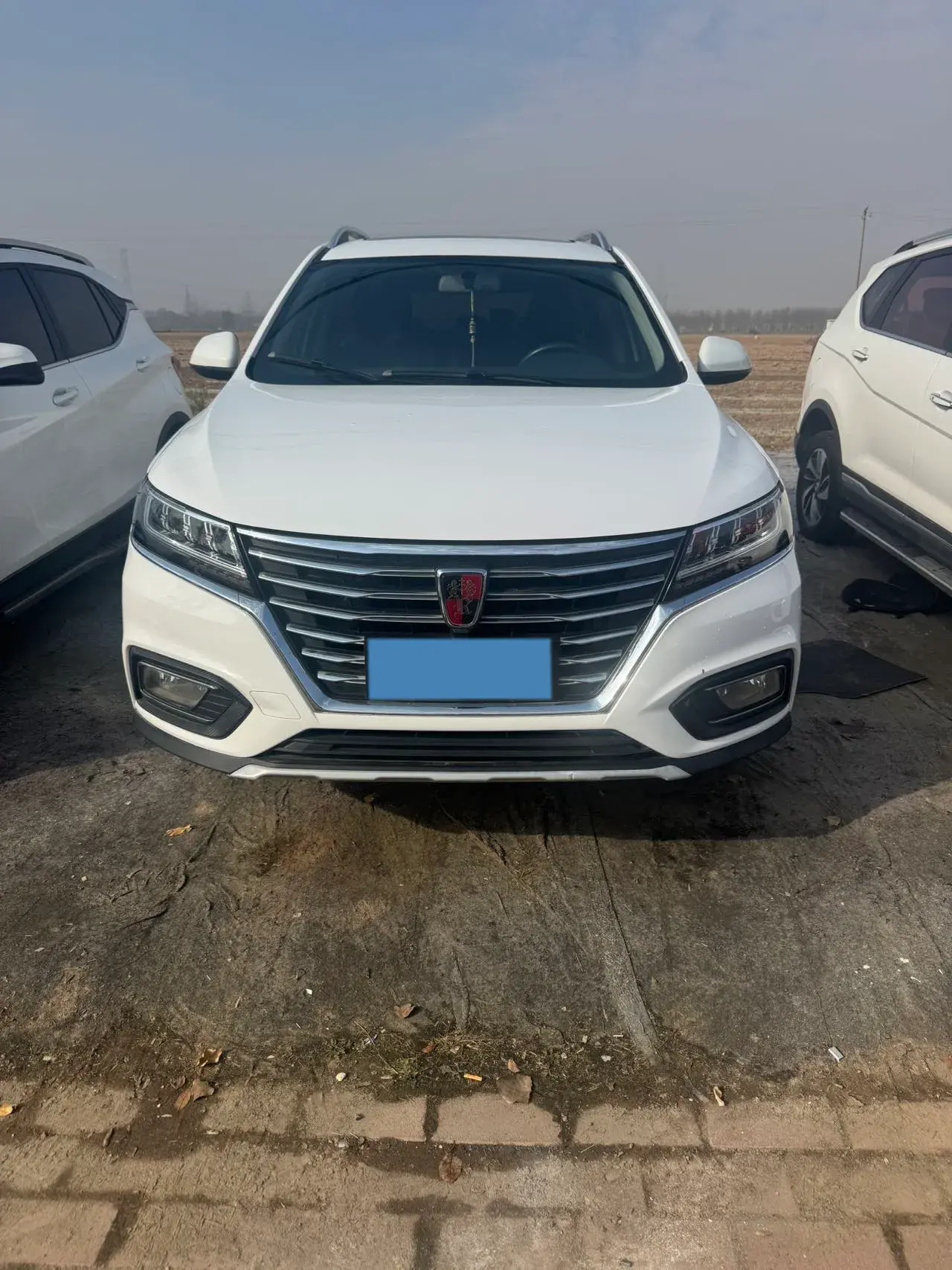 2020 ROEWE RX5 thumbnail 2