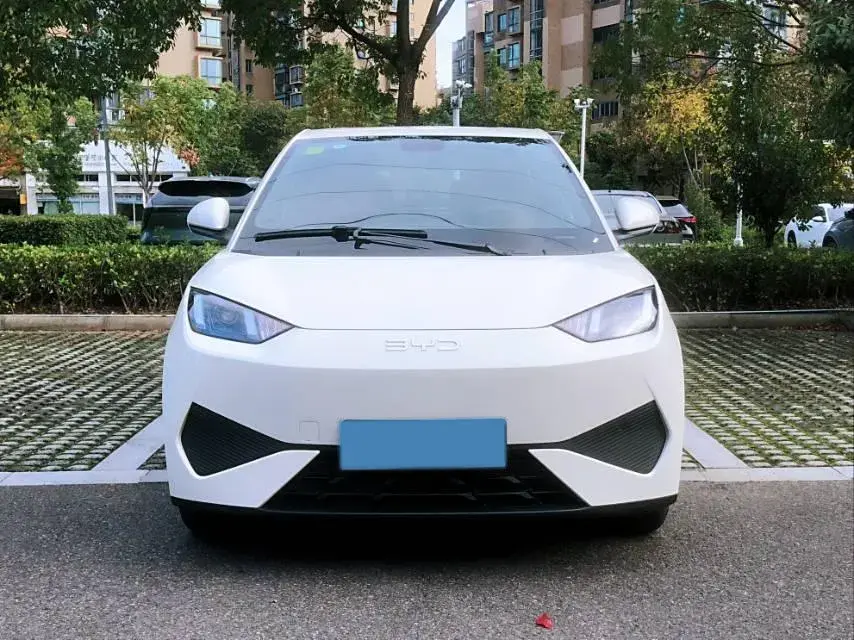 2025 BYD SEAGULL thumbnail 2