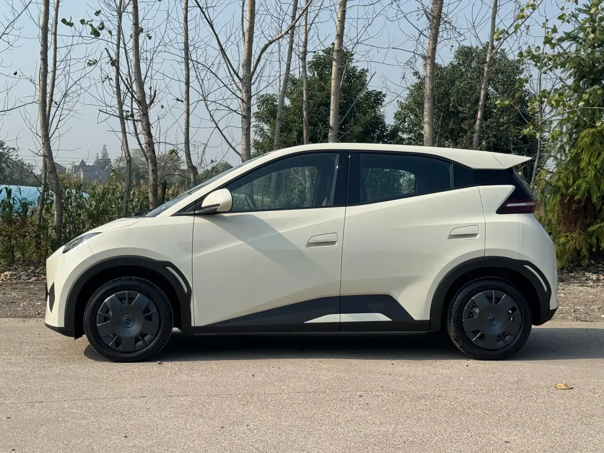 2025 BYD SEAGULL thumbnail 2