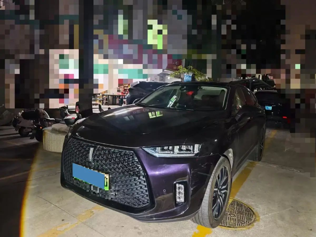 2018 WEY P8 2.0T 234HP L4 6DCT PHEV 12.96KWH