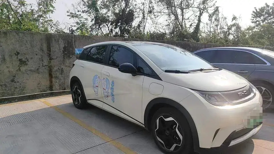 2021 BYD DOLPHIN thumbnail 4