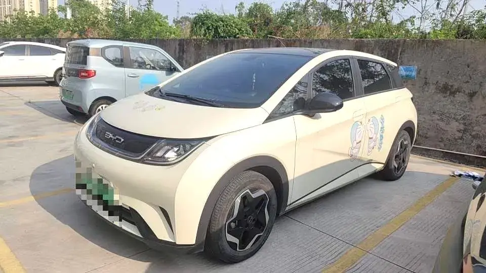 2021 BYD DOLPHIN view 1