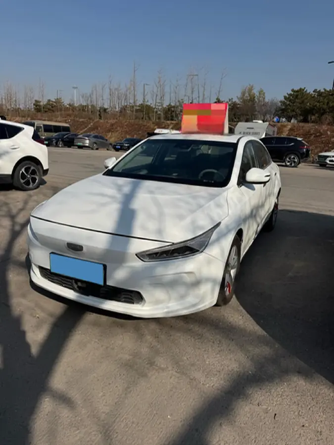 2019 Geometry A BEV 51.9KWH