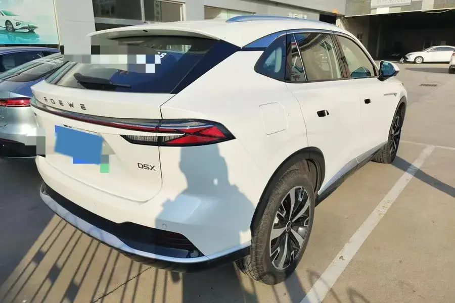 2024 ROEWE D5X thumbnail 2